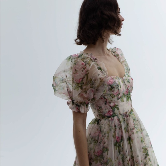 Selkie Dress — The Garden Roses Silk Gauze Ritz Gown - Picture 2 of 3